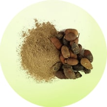 Jamun seed extract