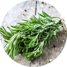 Rosemary benefits for hair fall