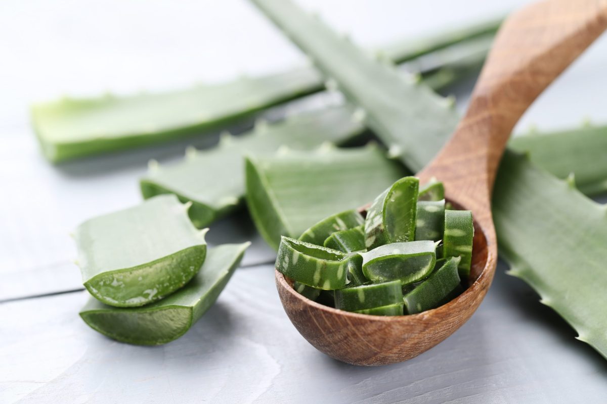 9 Astounding Benefits Of Aloe Vera - Teachers Grace